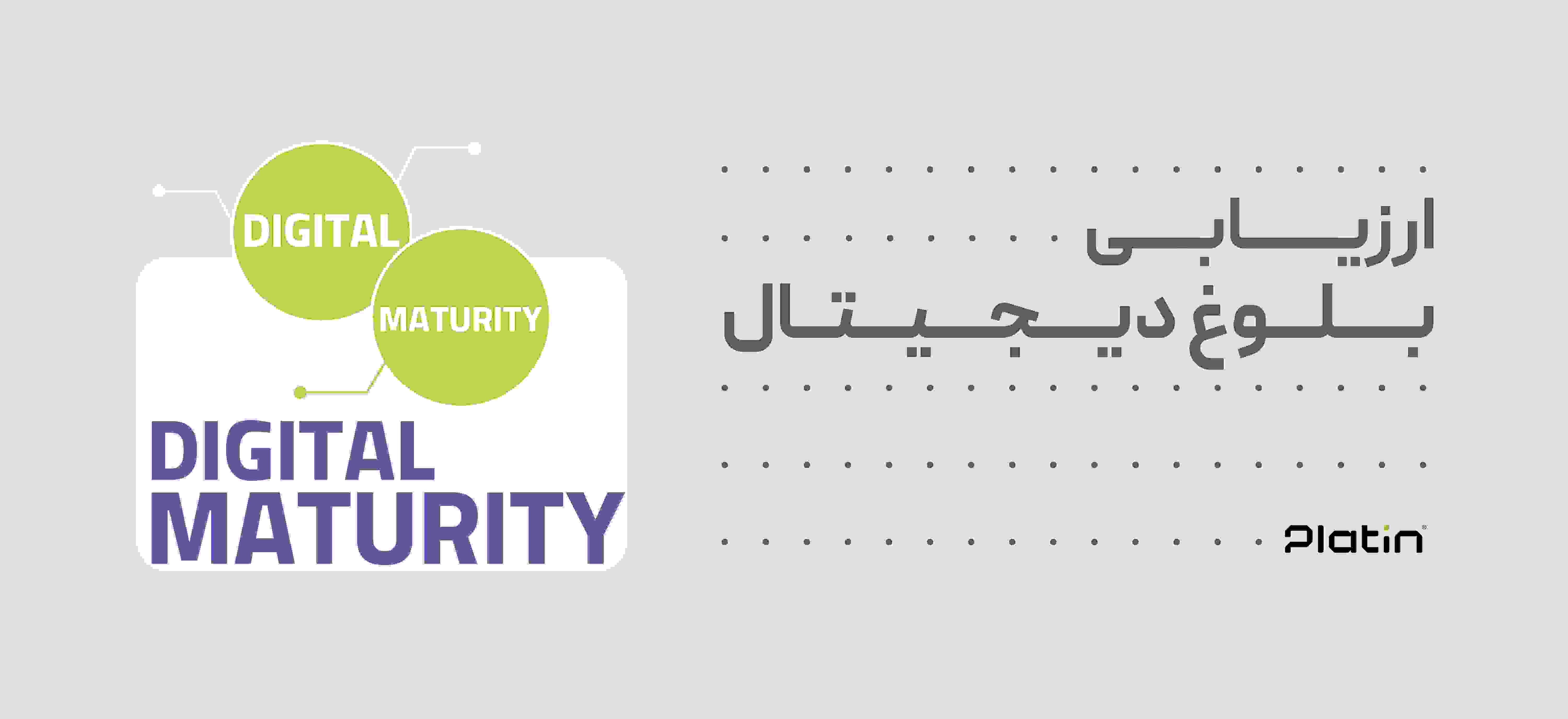 ارزیابی بلوغ دیجیتال