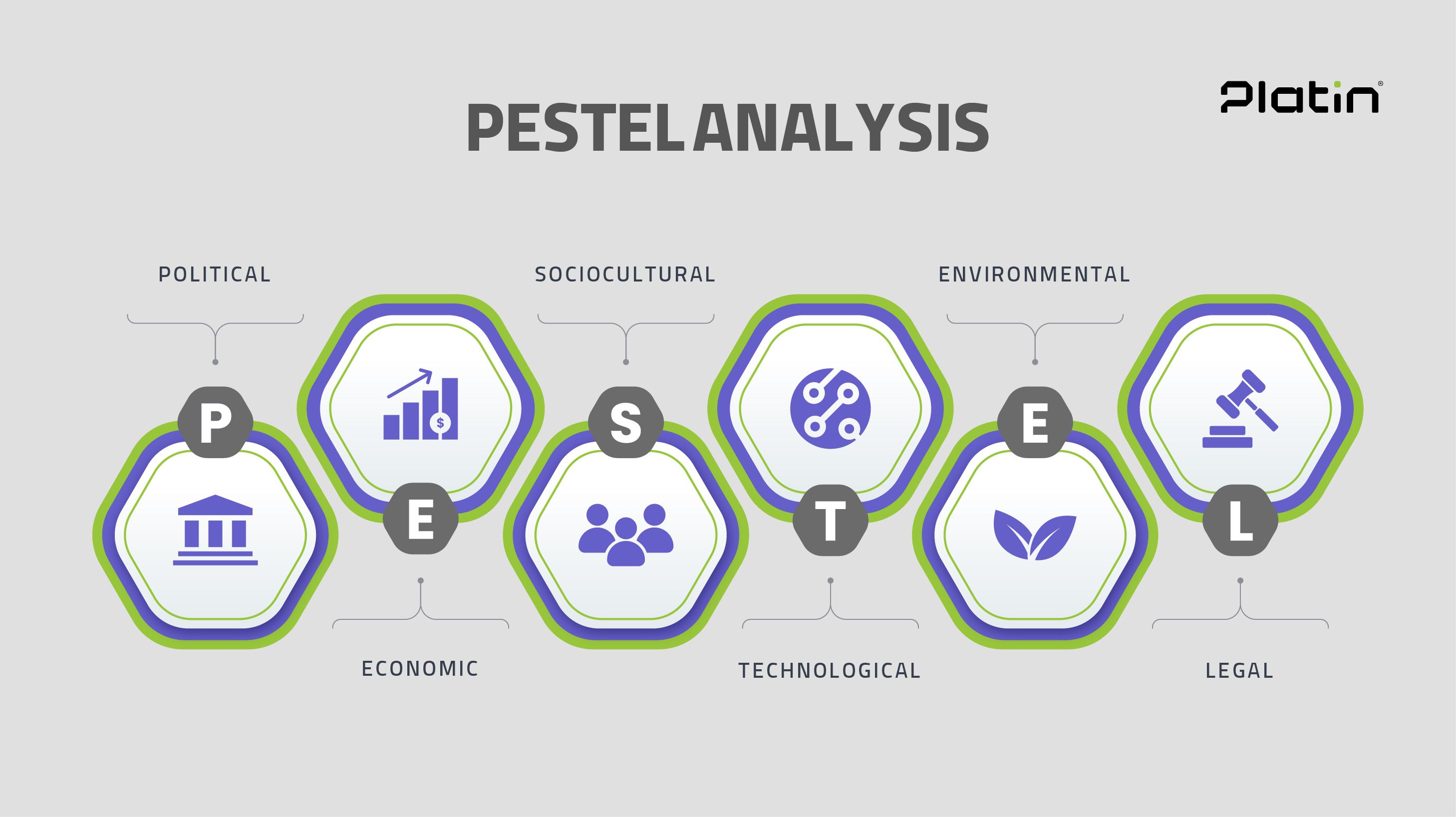 Pelatin_Web_04.04.31-05.jpg