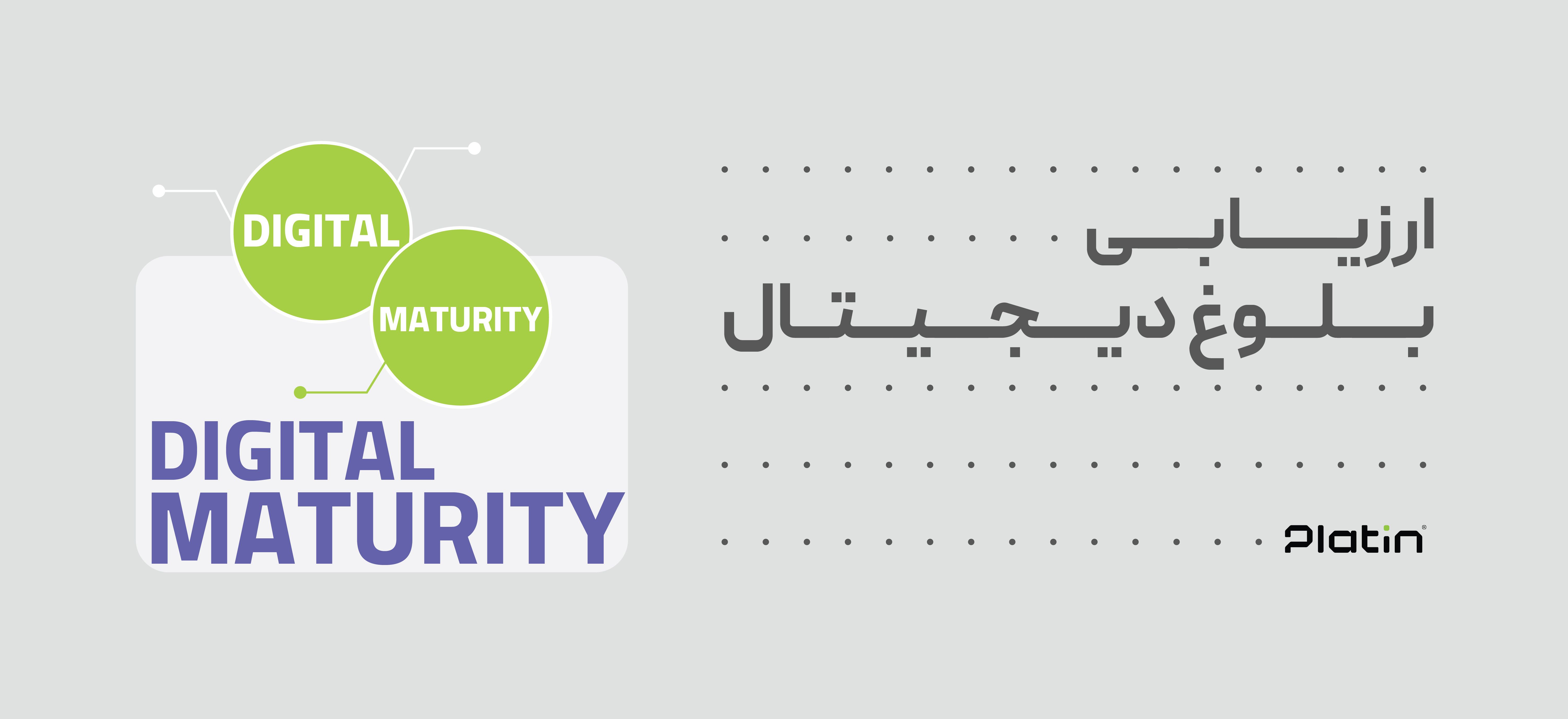 ارزیابی بلوغ دیجیتال