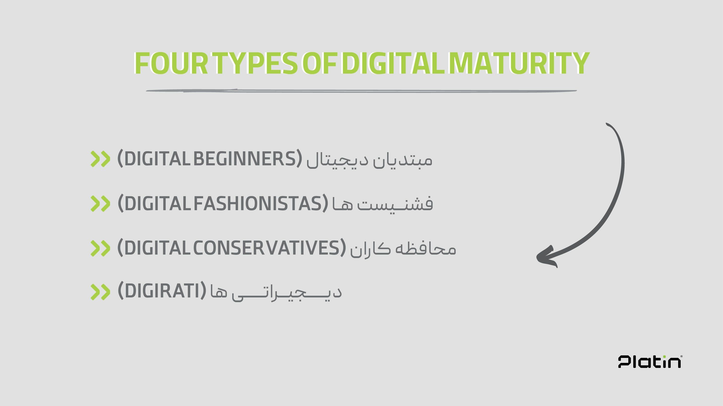 four types of digital maturity.jpg