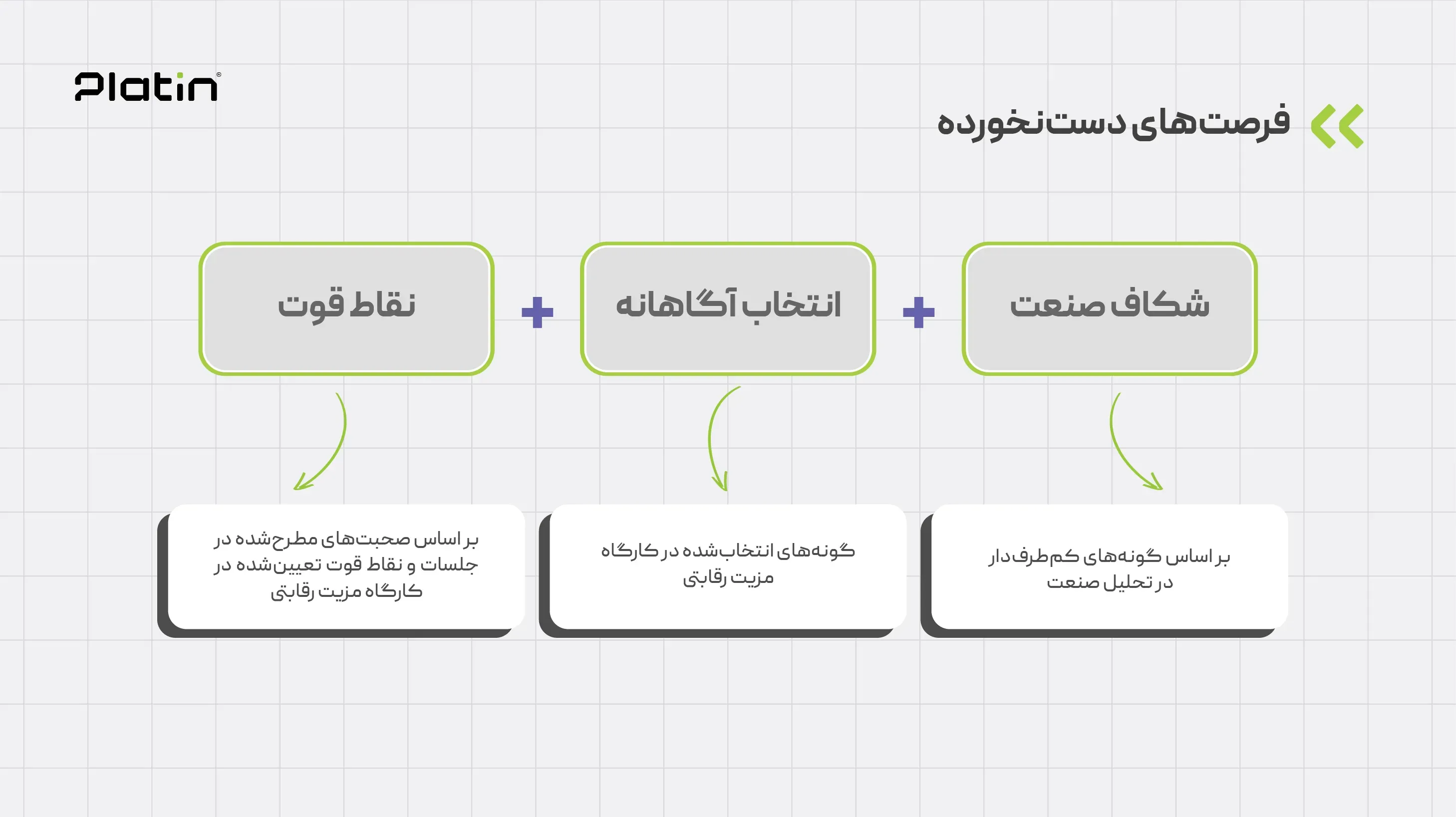 morashin7.webp